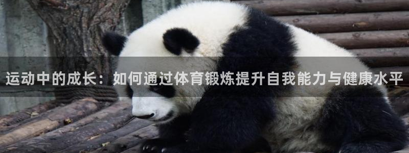 球速体育：运动中的成长：如何通过体育锻炼提升自我能力与健康水平