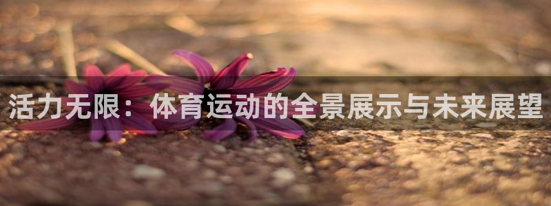球速体育：活力无限：体育运动的全景展示与未来展望