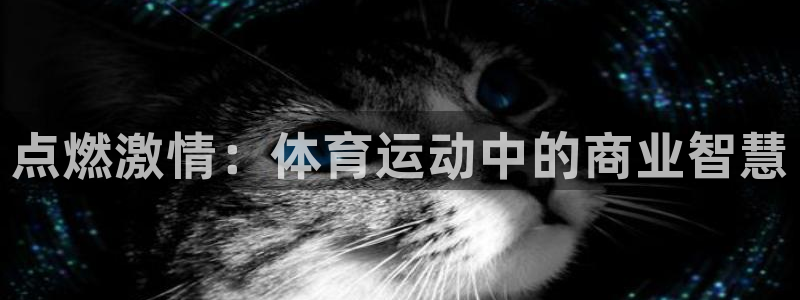 球速体育：点燃激情：体育运动中的商业智慧