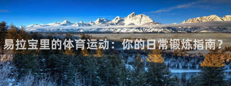 球速体育：易拉宝里的体育运动：你的日常锻炼指南？