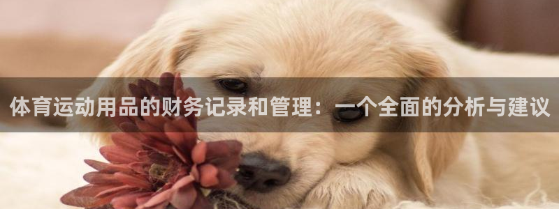 球速体育：体育运动用品的财务记录和管理：一个全面的分析与建议