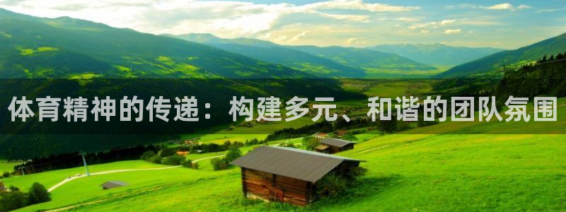 球速体育：体育精神的传递：构建多元、和谐的团队氛围