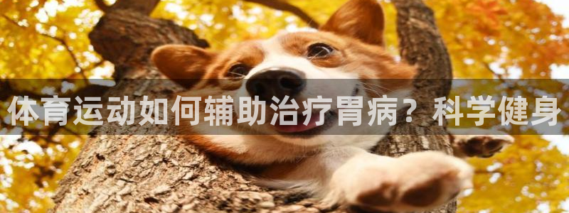球速体育：体育运动如何辅助治疗胃病？科学健身
