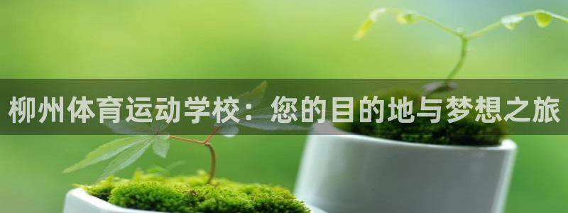 球速体育：柳州体育运动学校：您的目的地与梦想之旅