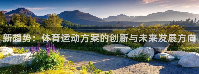 球速体育：新趋势：体育运动方案的创新与未来发展方向