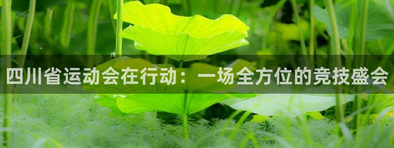 球速体育：四川省运动会在行动：一场全方位的竞技盛会