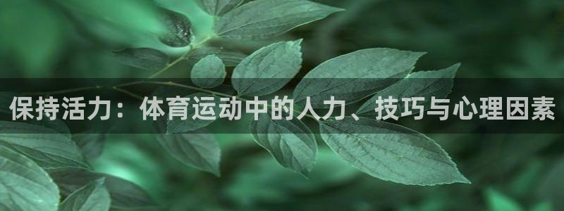 球速体育：保持活力：体育运动中的人力、技巧与心理因素