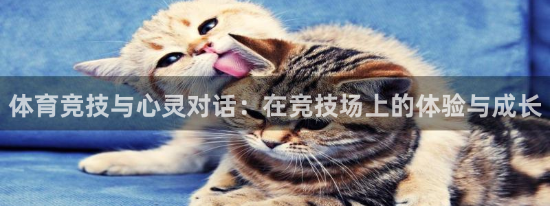 球速体育：体育竞技与心灵对话：在竞技场上的体验与成长