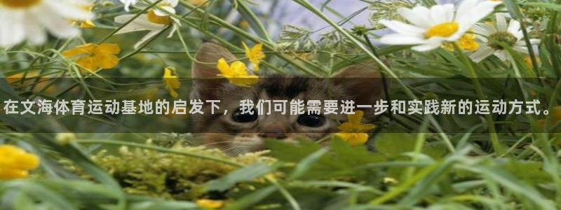 球速体育：在文海体育运动基地的启发下，我们可能需要进一步和实践新的运动方式。