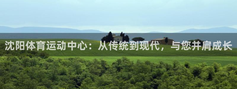 球速体育：沈阳体育运动中心：从传统到现代，与您并肩成长